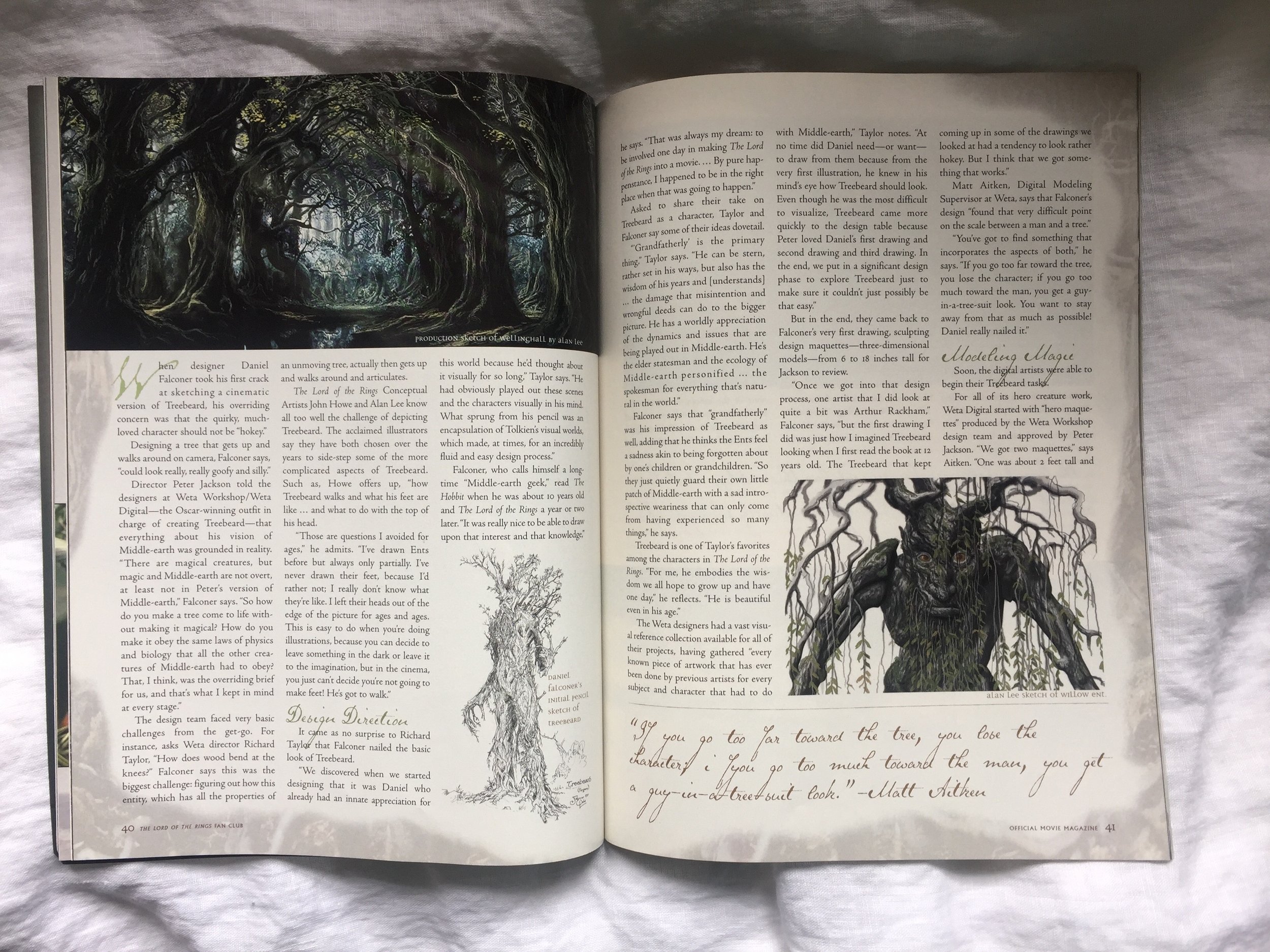 Treebeard article.jpg