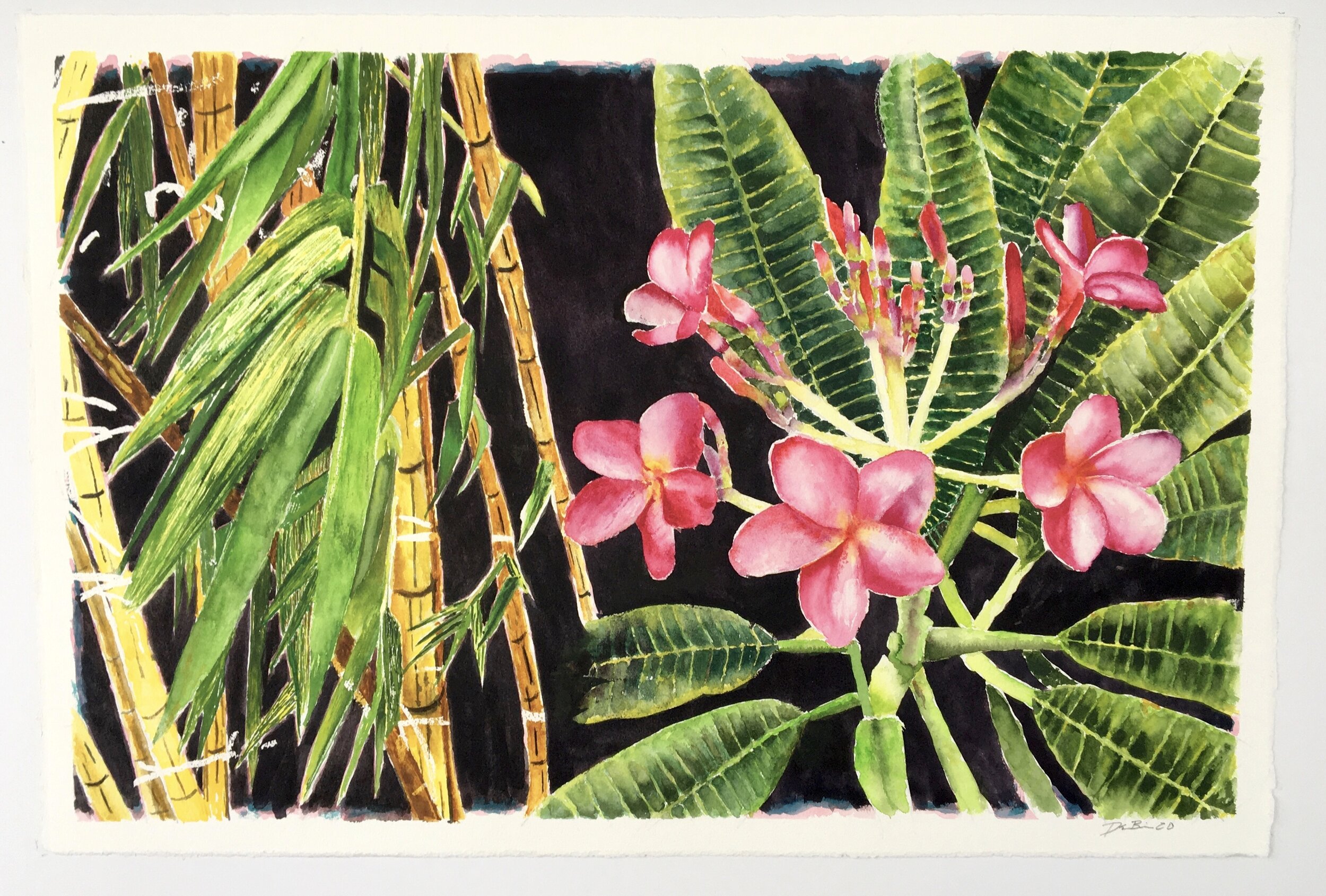 The Bamboo and Frangipani 22x15" on 140lb Lanaquarelle Paper