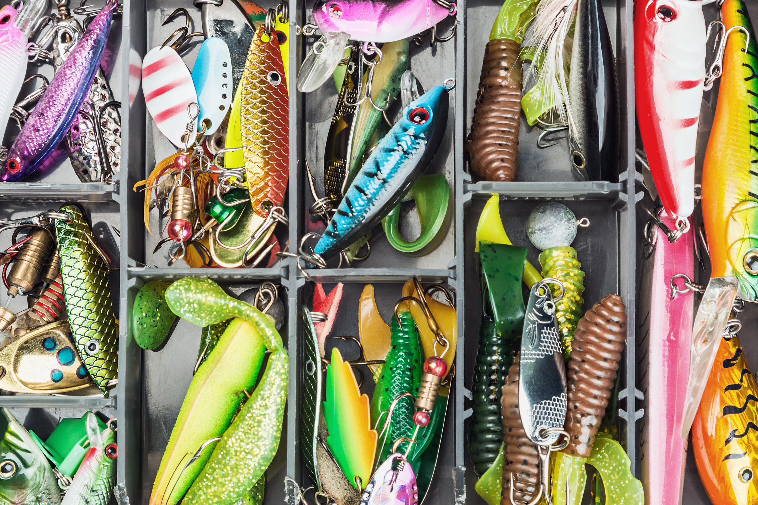 Tackle Boxes and Bugs — Louis Flower Power Shop