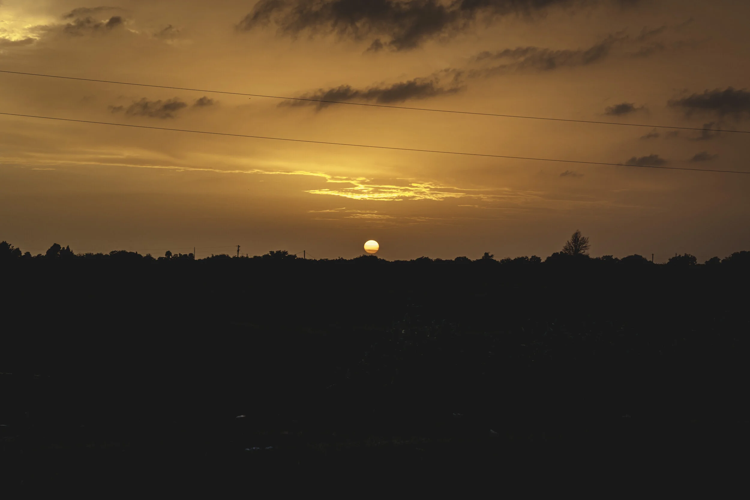 20190626-2X8A9507.jpg