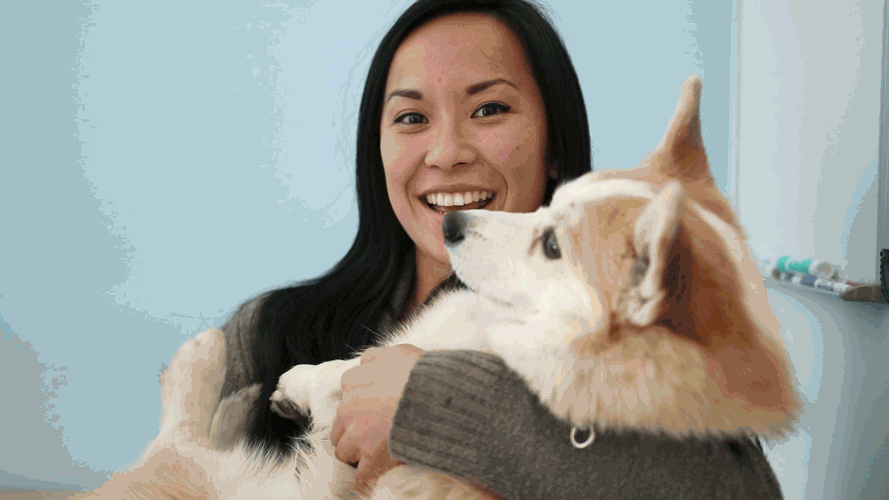 nikki-1.2.gif