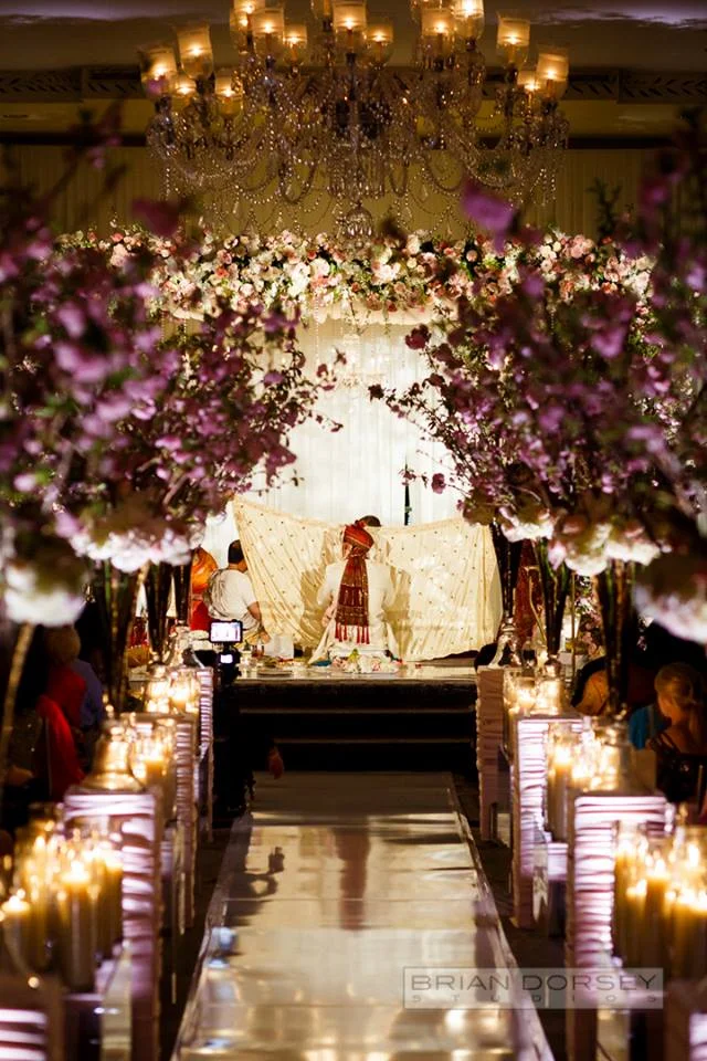 aisle with large trees