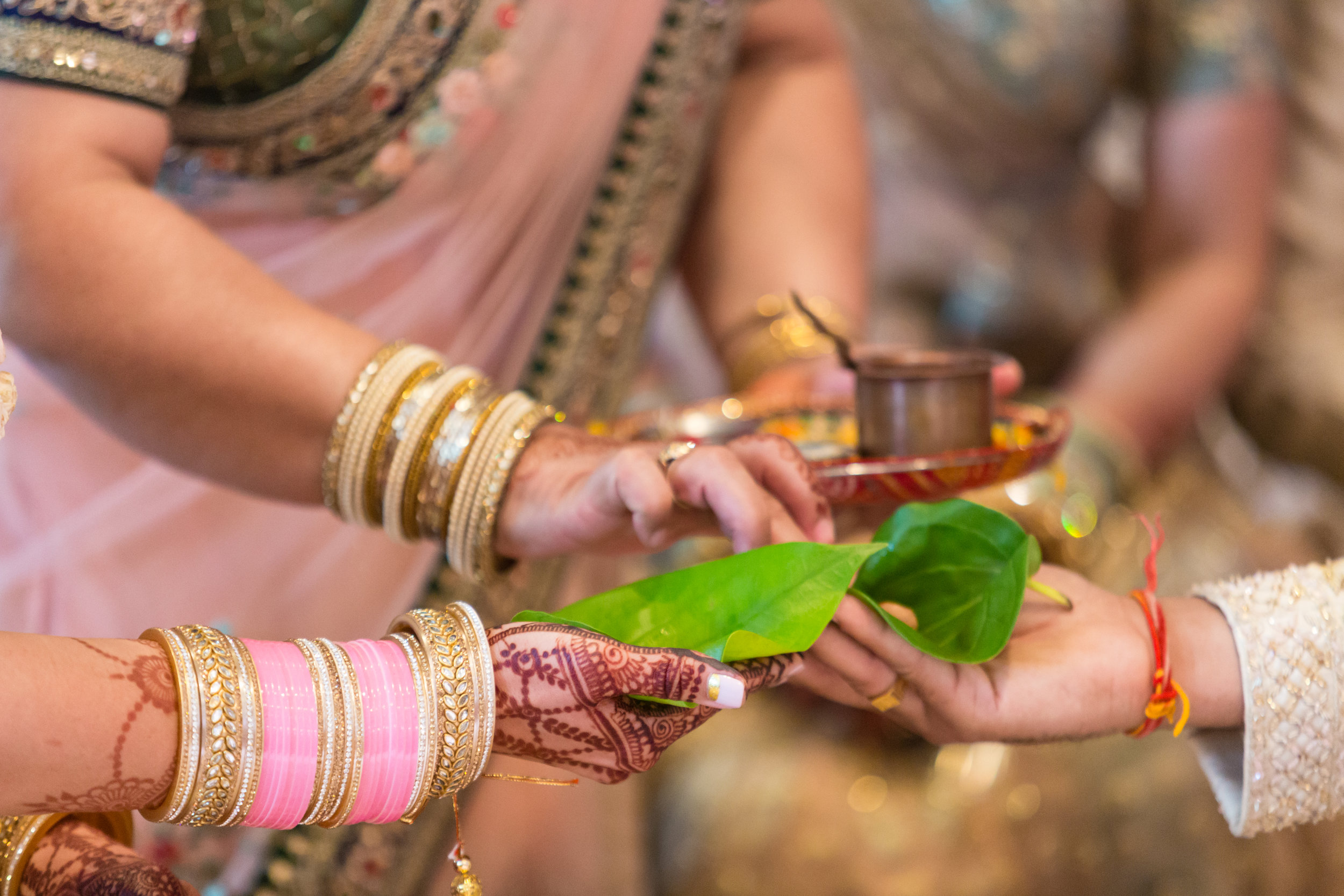 INDIAN WEDDING CERMONY EXCHANGE.jpg