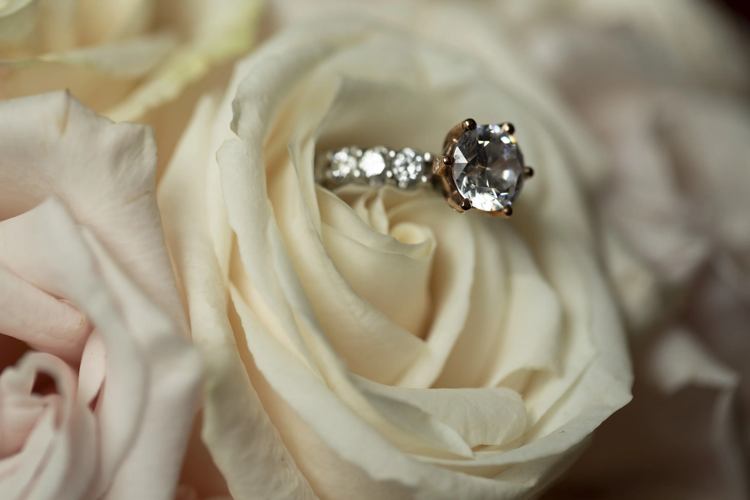 INDIAN WEDDING RING IN FLOWER.JPG