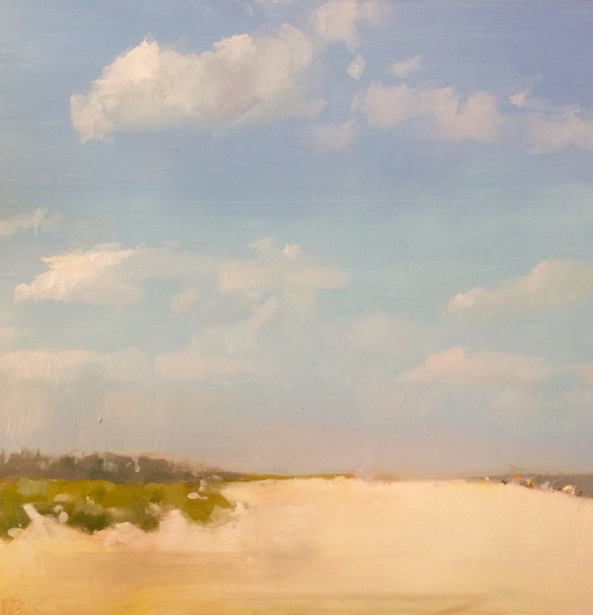  Assateague Oil 12 x 12 