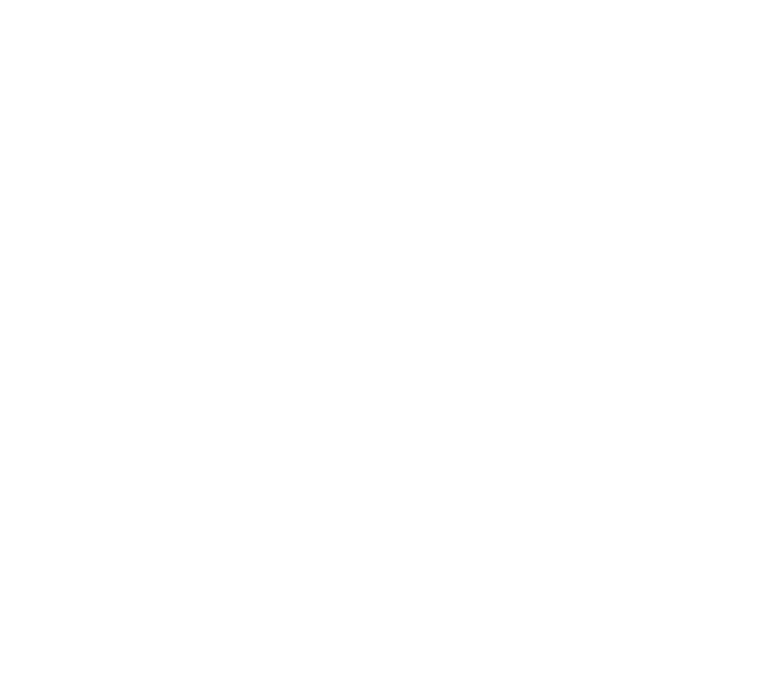 Party for a Lifetime