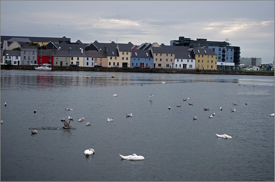 Galway 2015.jpg