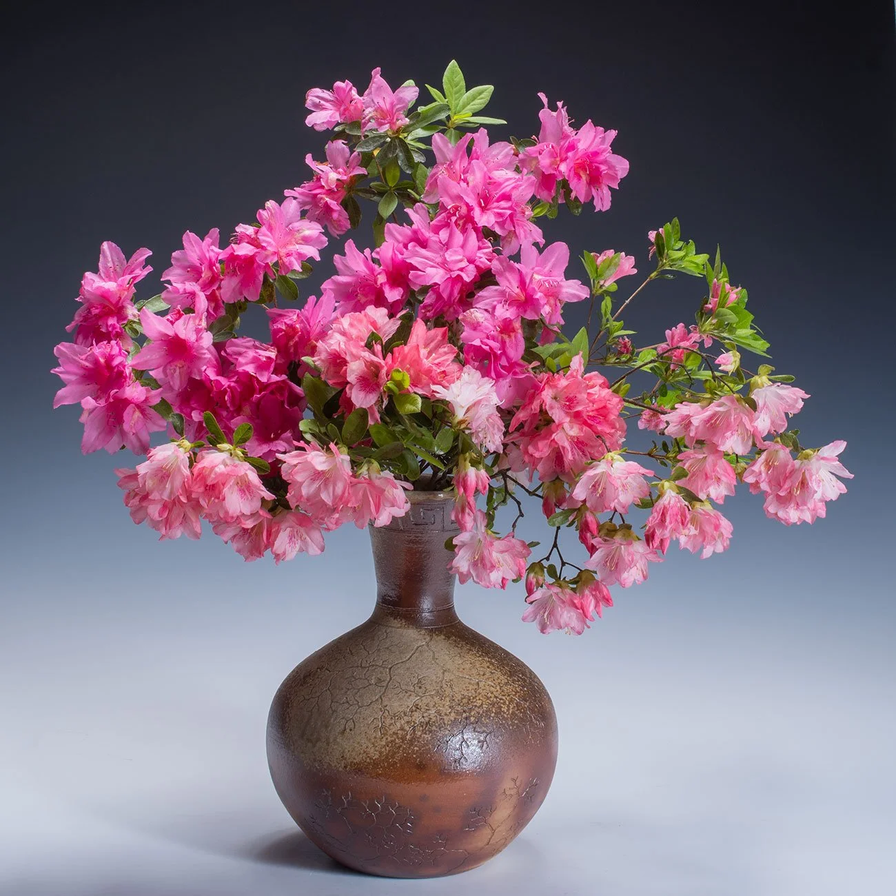 Celebration of Spring in Seagrove 