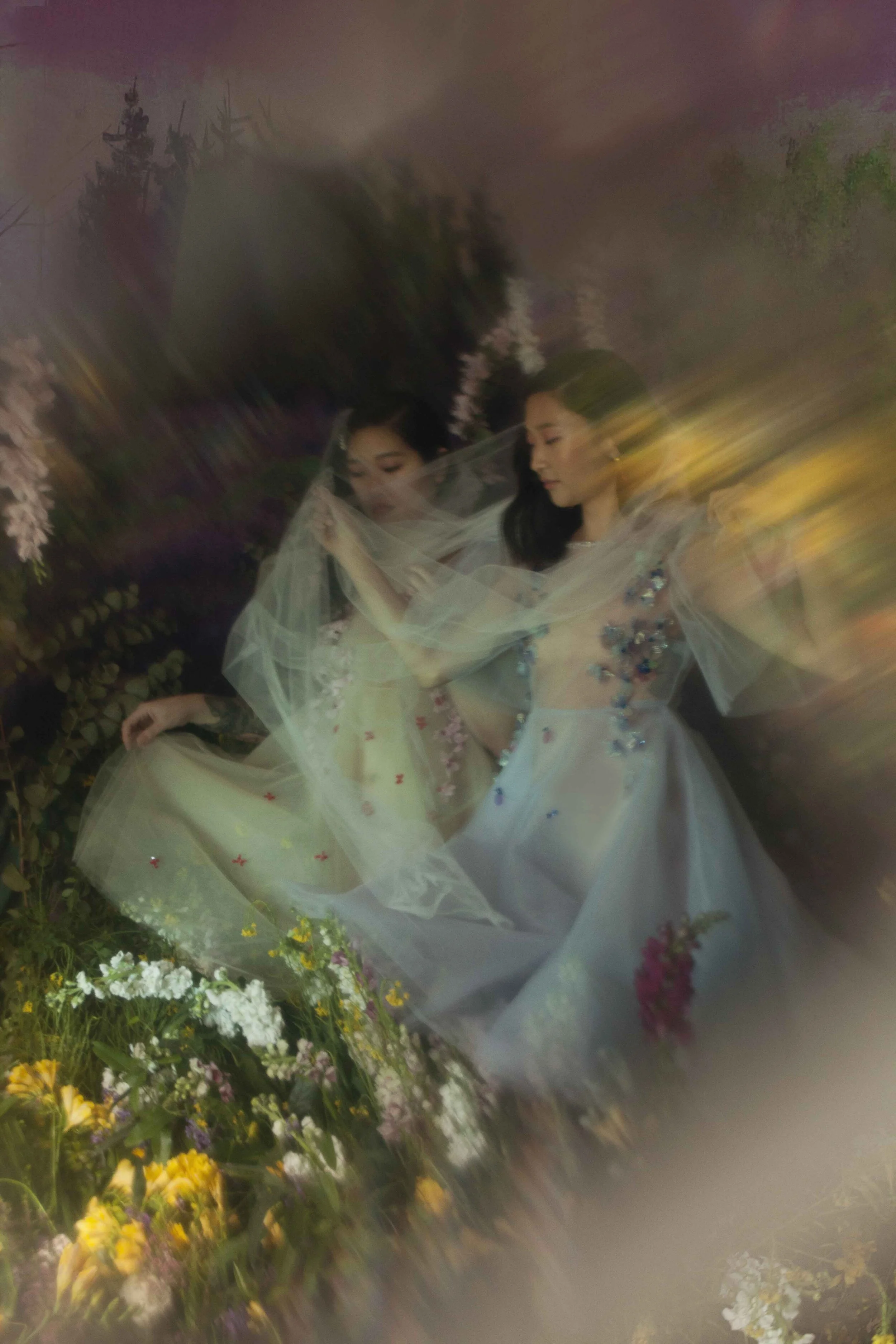 midnight summer dream 7 low.jpg