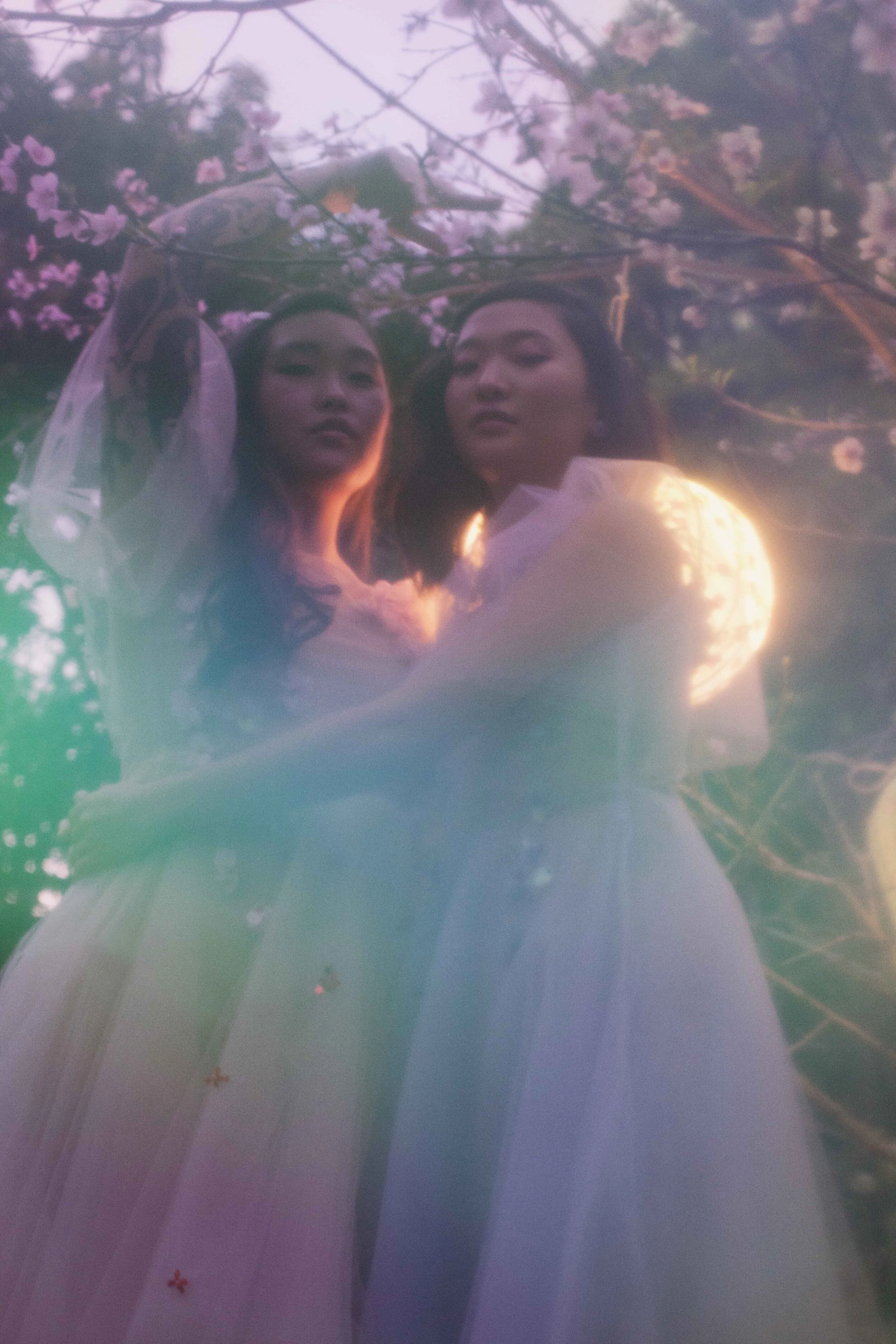 midnight summer dream 8 low.jpg
