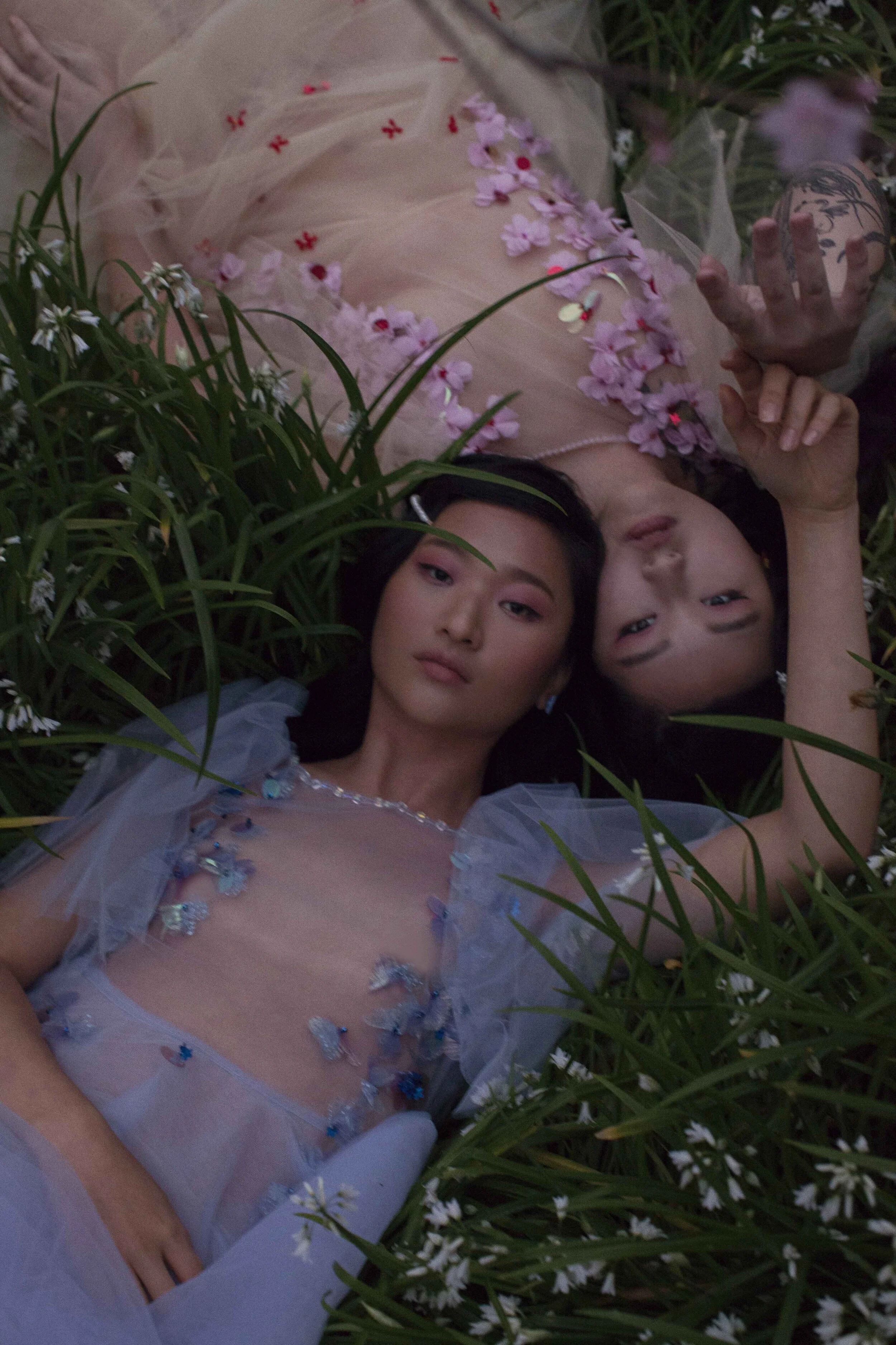 midnight summer dream 14 low.jpg