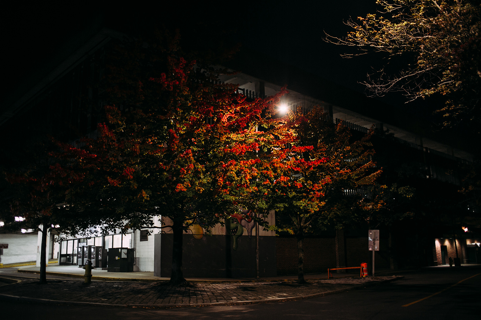 Oct049.jpg