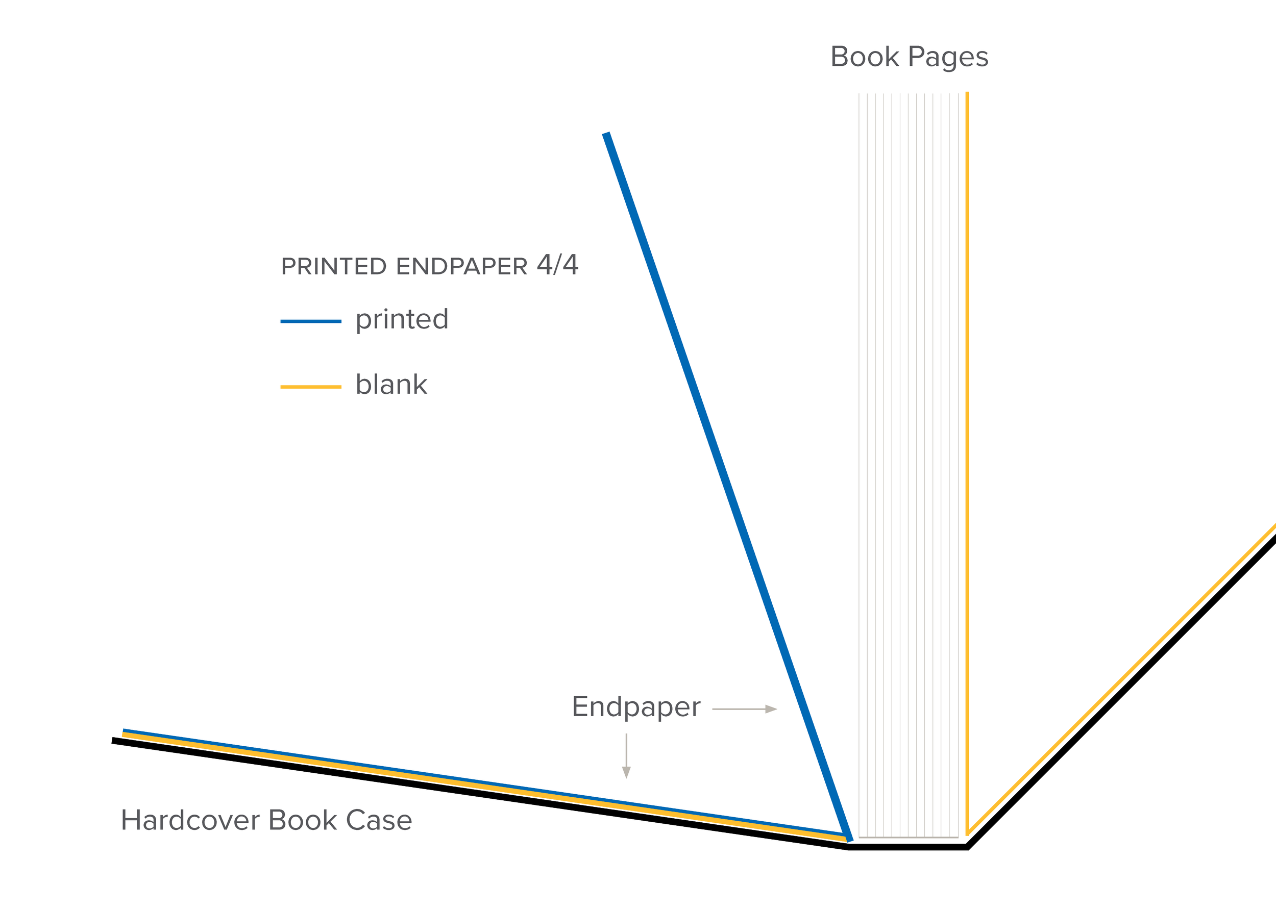 Endpapers_Printed44.png