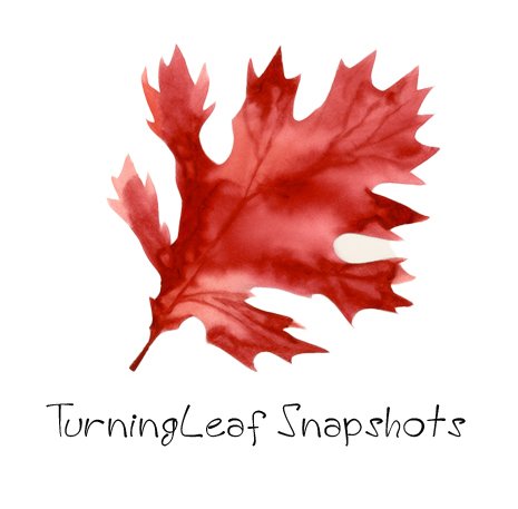 TurningLeaf Snapshot Services