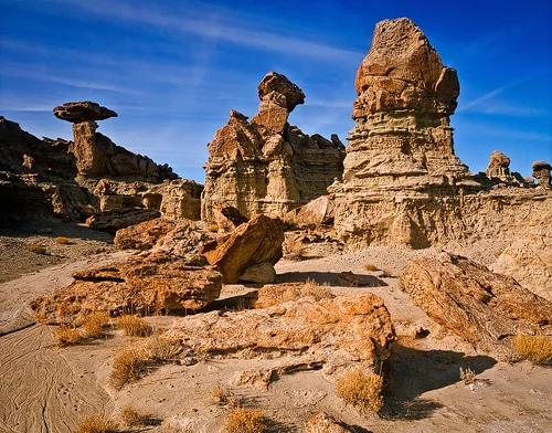 red desert 2.jpg