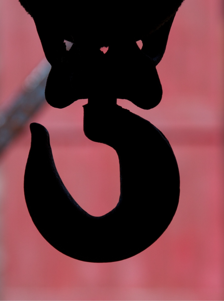 sardine3 copy.png