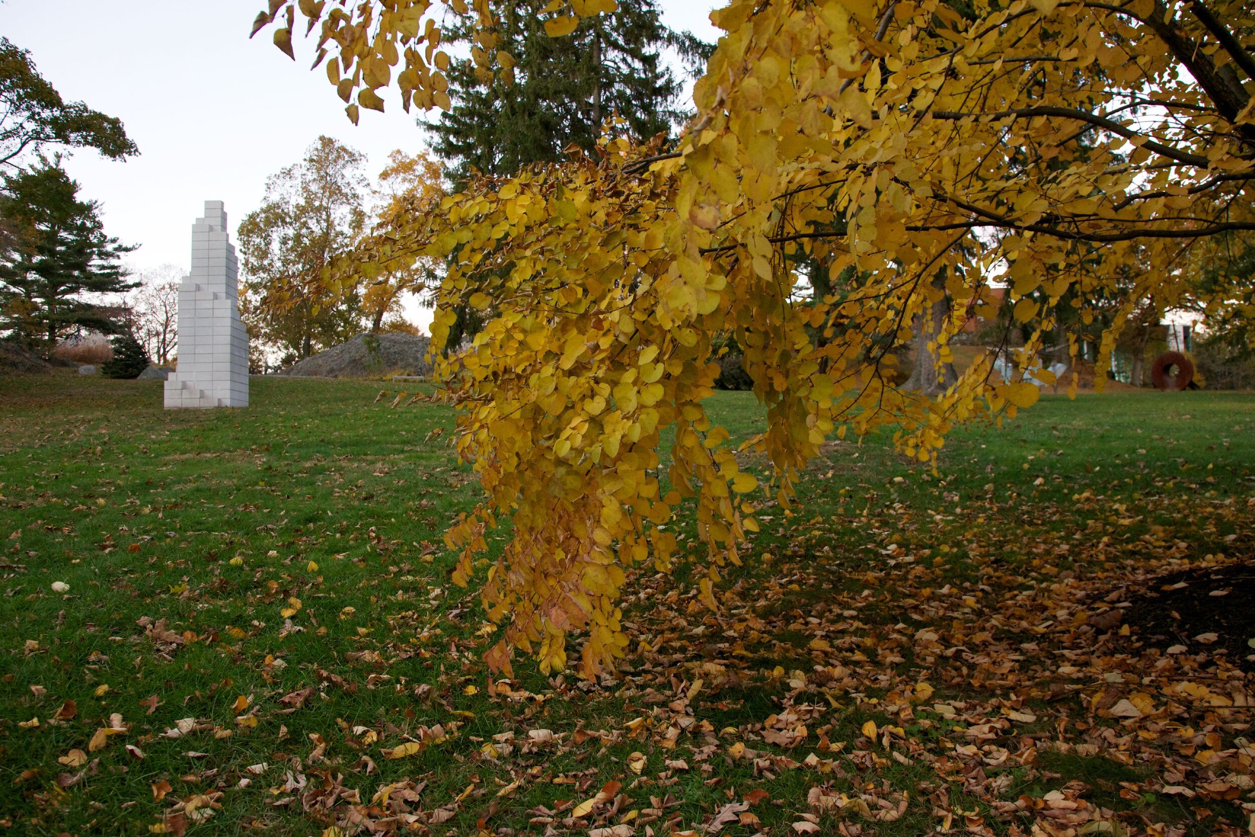 SOL LEWITT_2485 copy.JPG