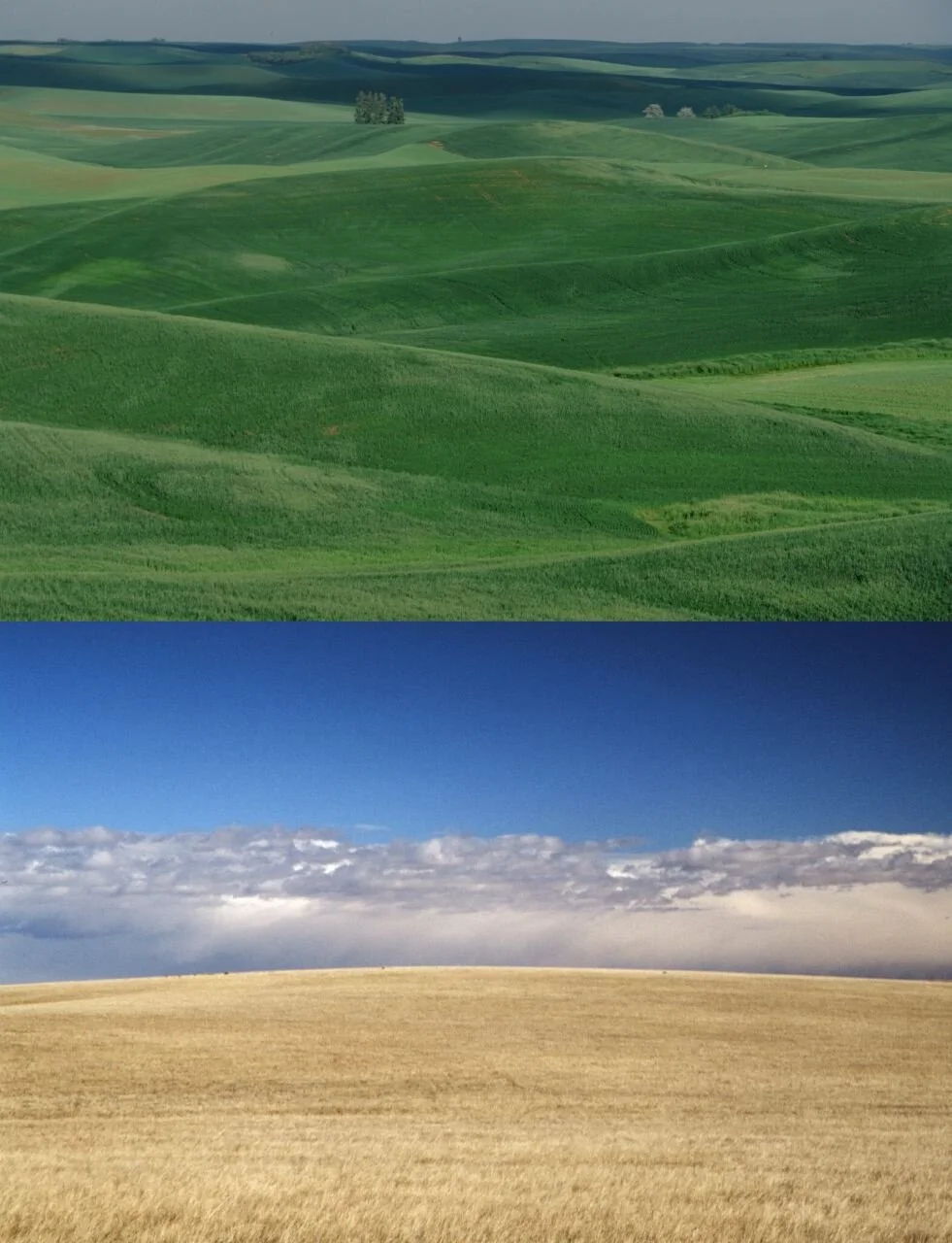 pine ridge-nex perce2.JPG