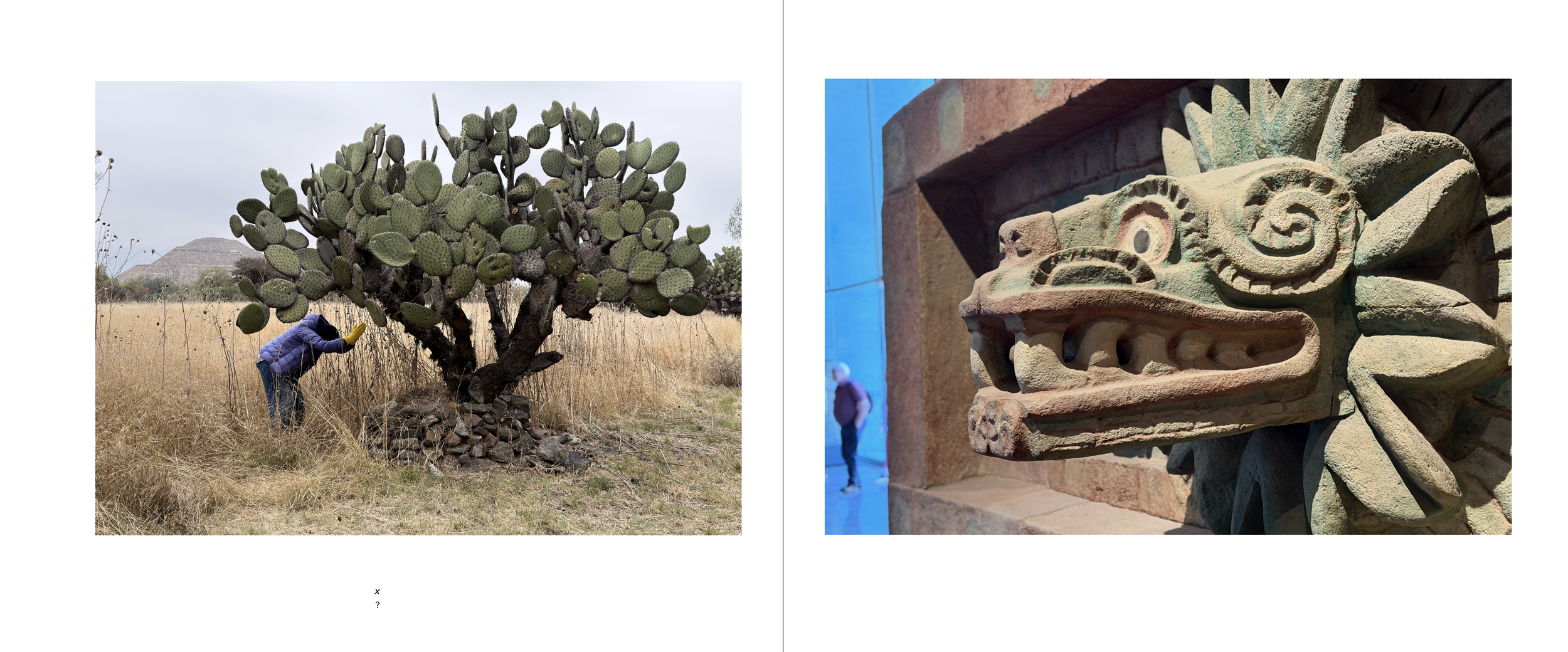 Screenshot 2026-03-19 at 6.59.16 PM.png