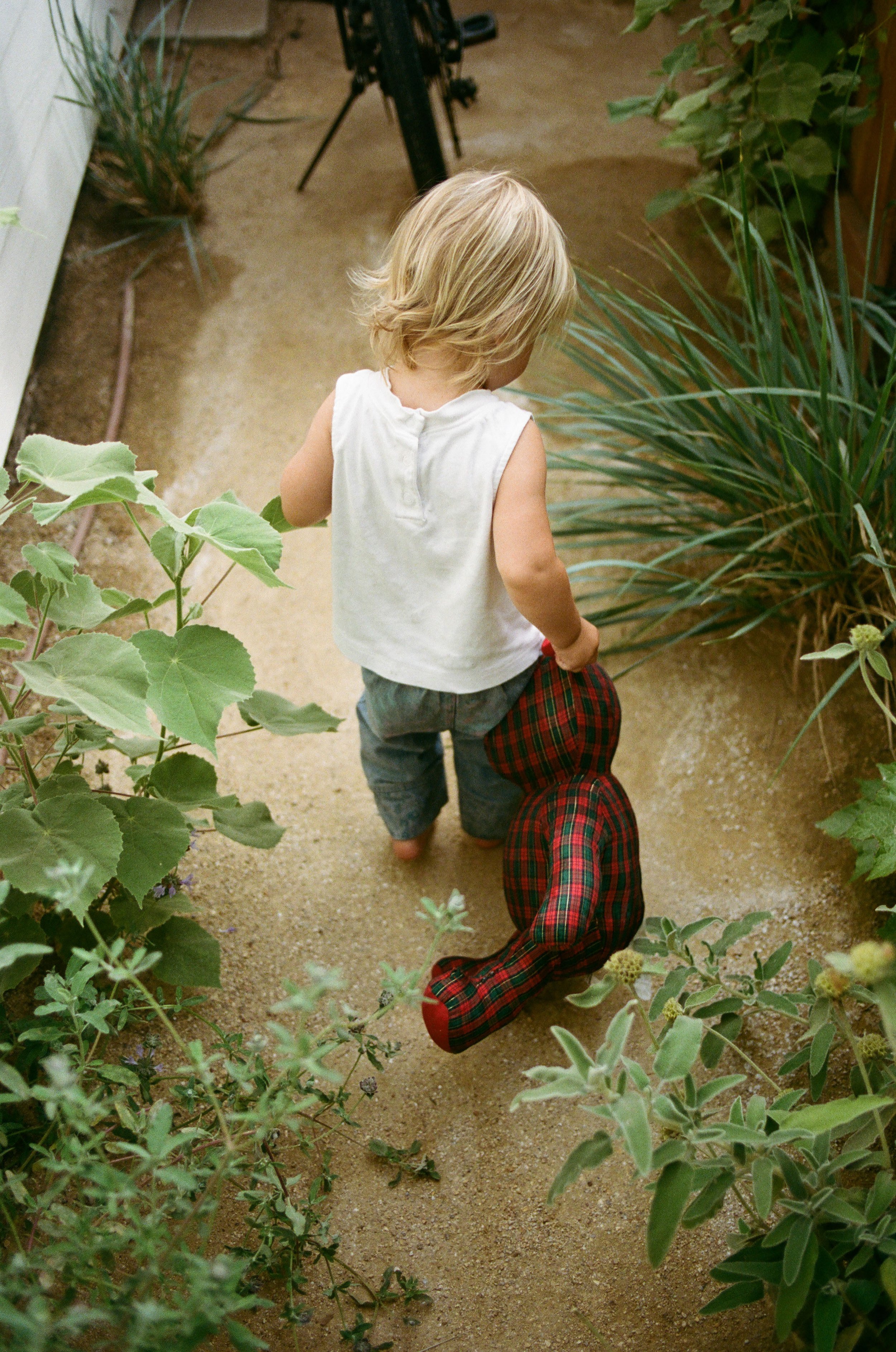 WrightFamilyFilm_Brink_65.jpg