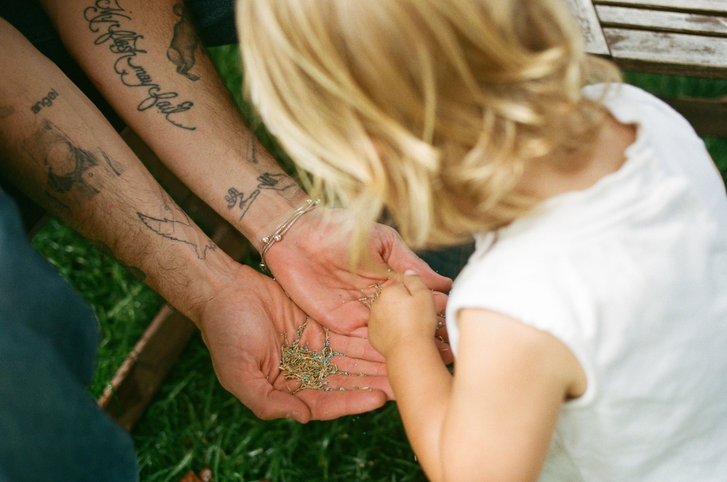 WrightFamilyFilm_Brink_75.jpg