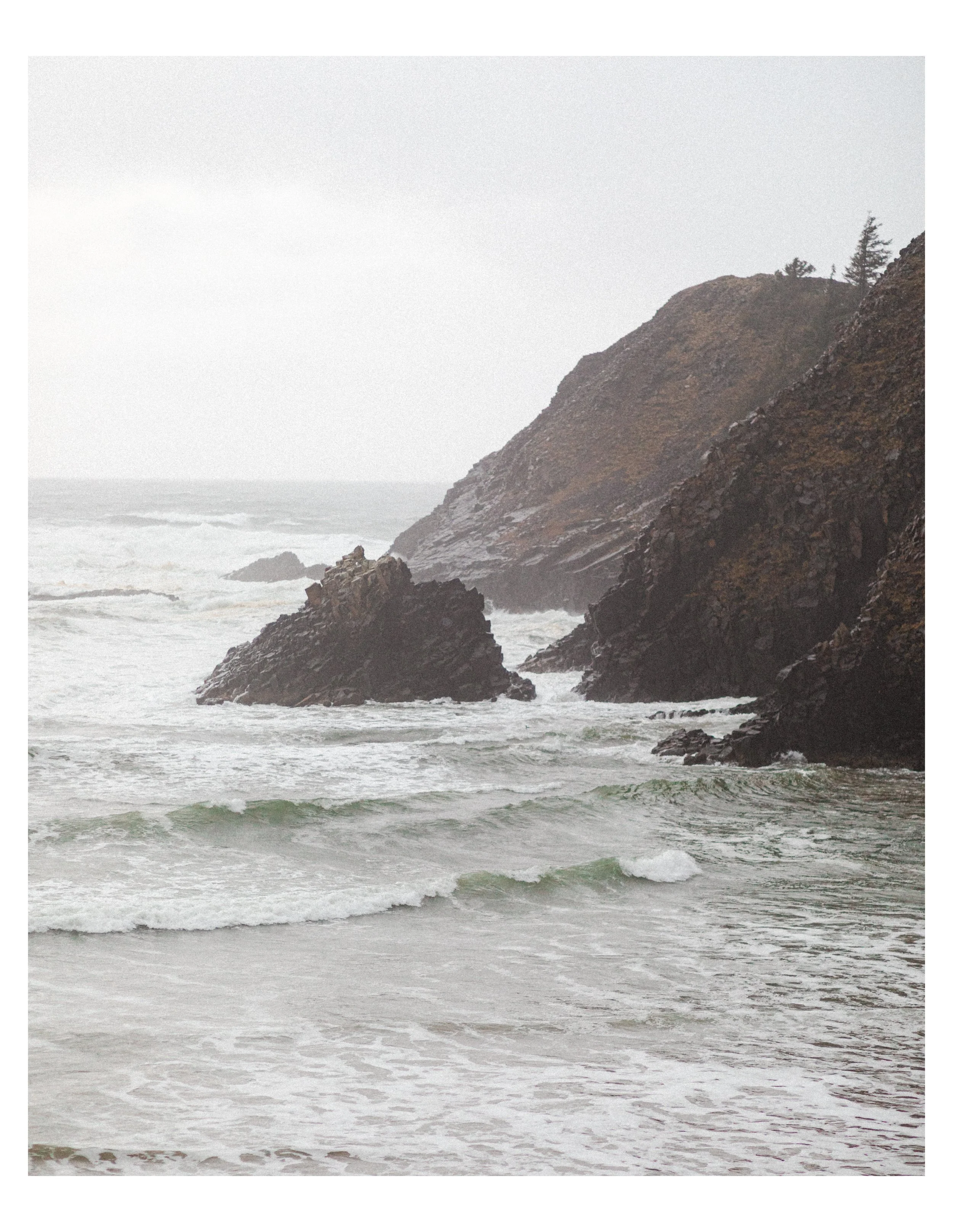 PNWC-8x10.jpg