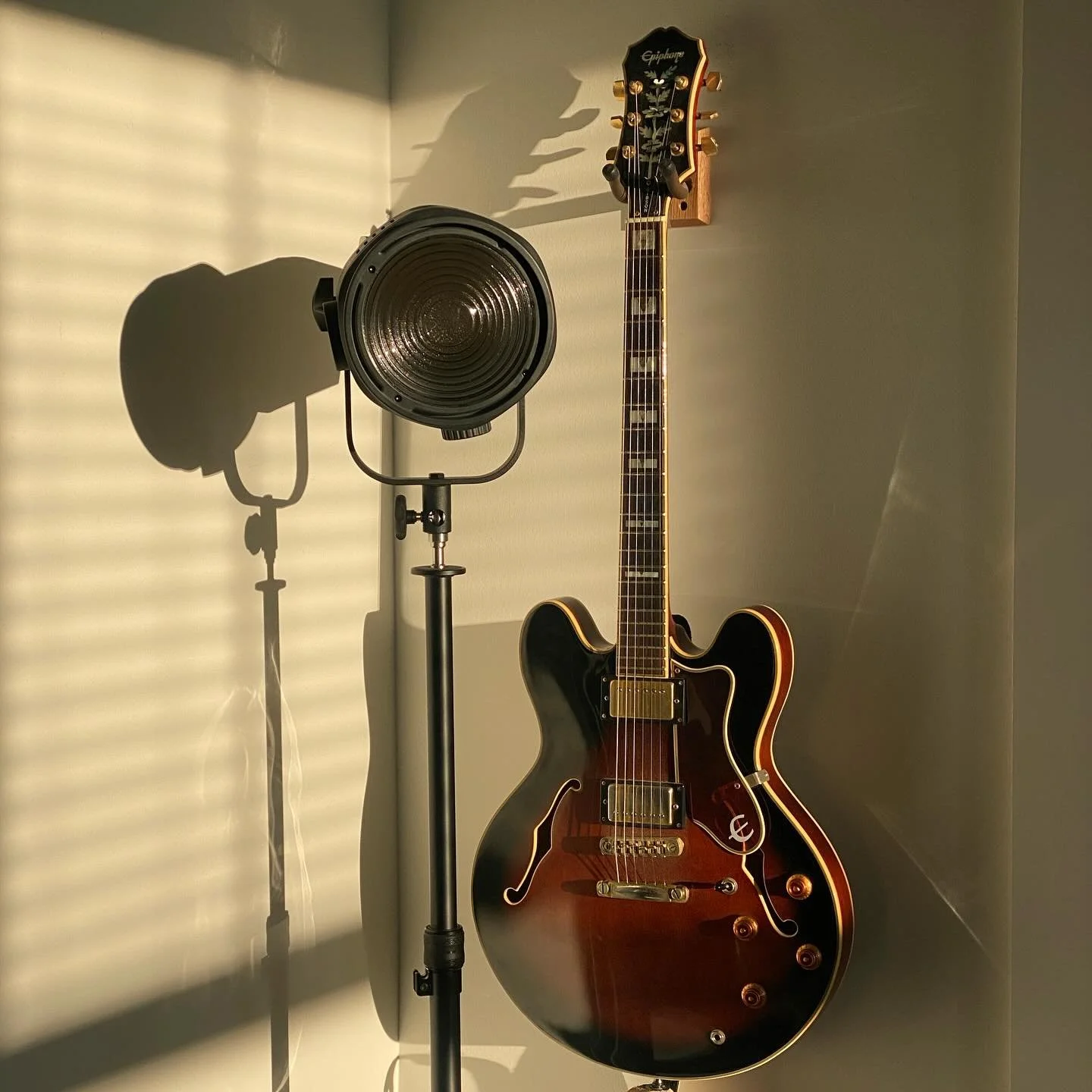 As I wake up and walk into the loft the morning light starts giving love warming my heart and reminding me that each day is another opportunity to shine.