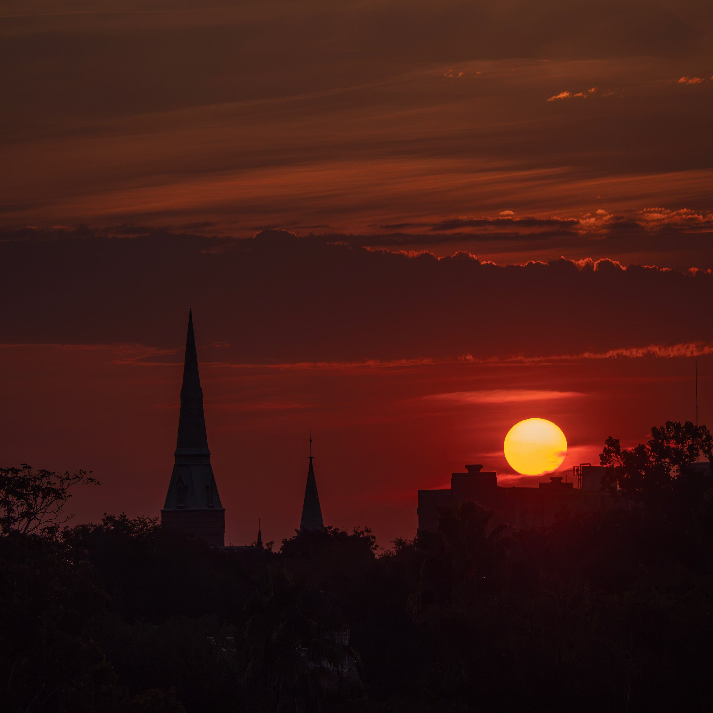 Celebrate! The Sun came up and you&rsquo;re gonna shine today. #savannah #sunrise #lumixgh5 @lumix @savannahpropermag