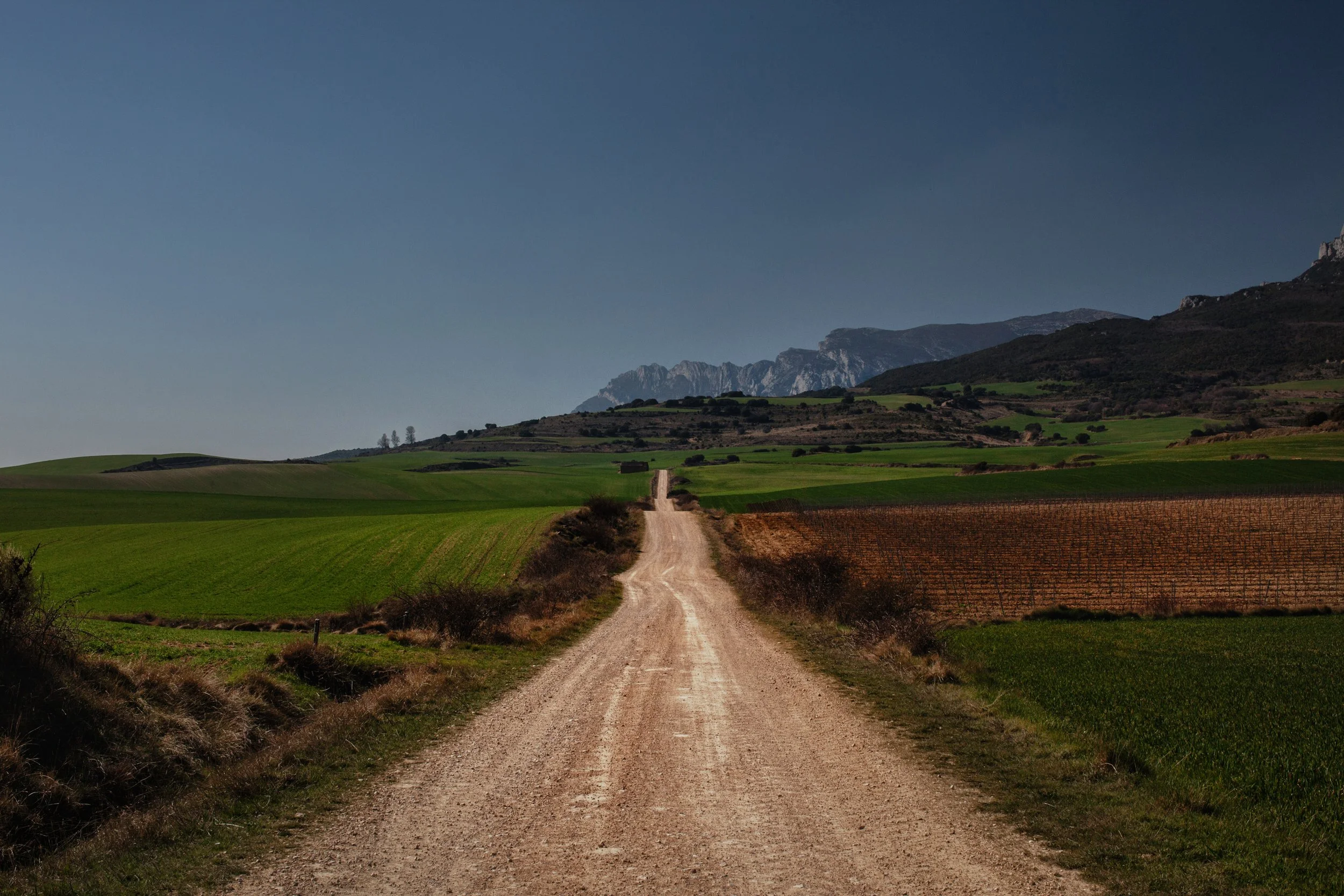 Fine art landscape photograph of a long dirt road passing through vineyards in Spain’s Rioja wine region toward the distant Pyrenees.