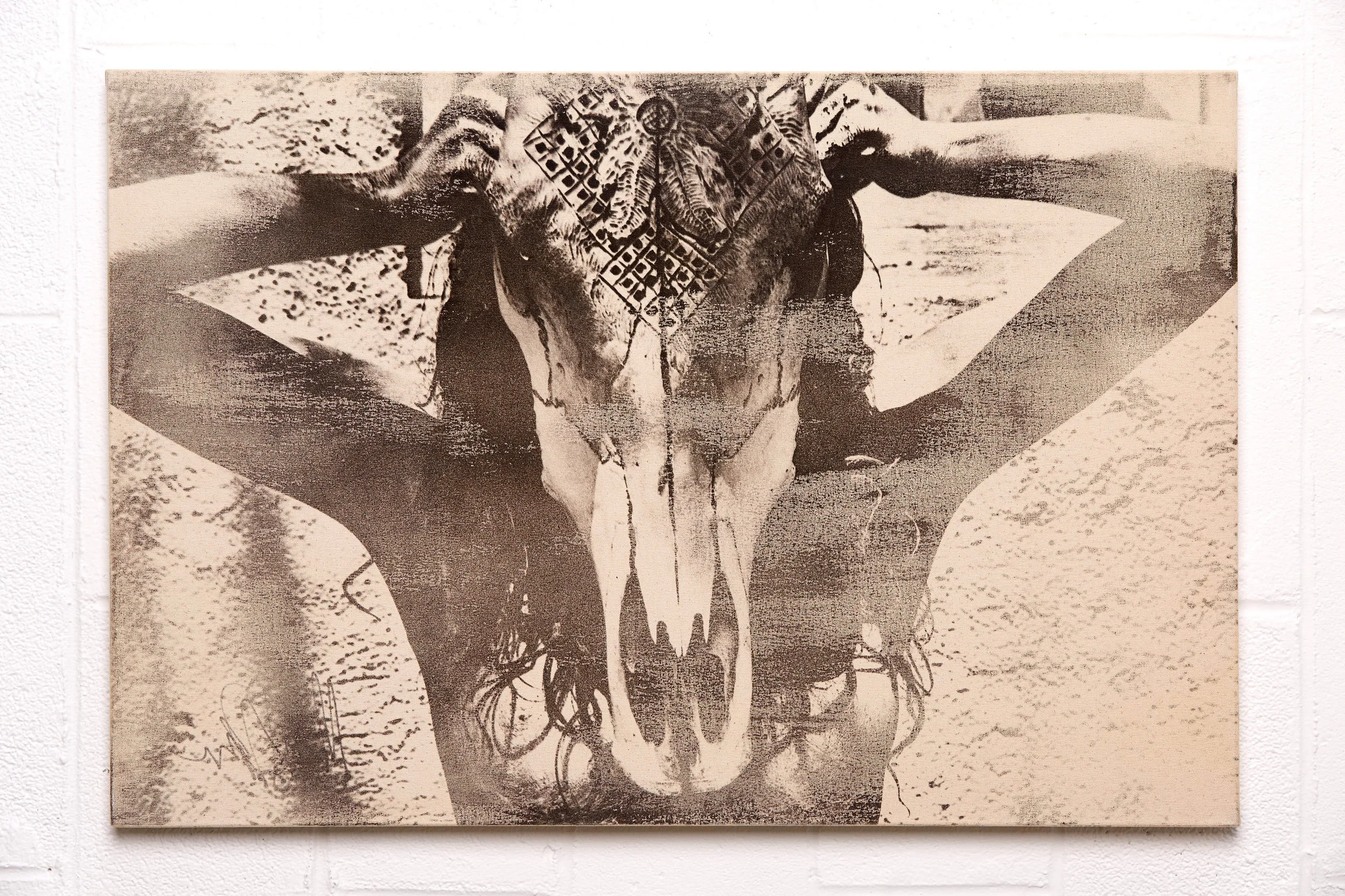 (SOLD) Cowskull Girl 24x36" | Cowskull Series #5 Limited Edition Print (#1 of 5) 1st Edition has been sold Liquid Emulsion Painted on Raw Canvas, Hand-Stretched over 1.5" Thick Wood Frame Ingredients: Photo (Babes, Rum, Carved Cowskull, White Acrylic & Baby Powder) Print (Canvas, Black Magic III, Tecate, Proprietary Chemical Blend & Process)
