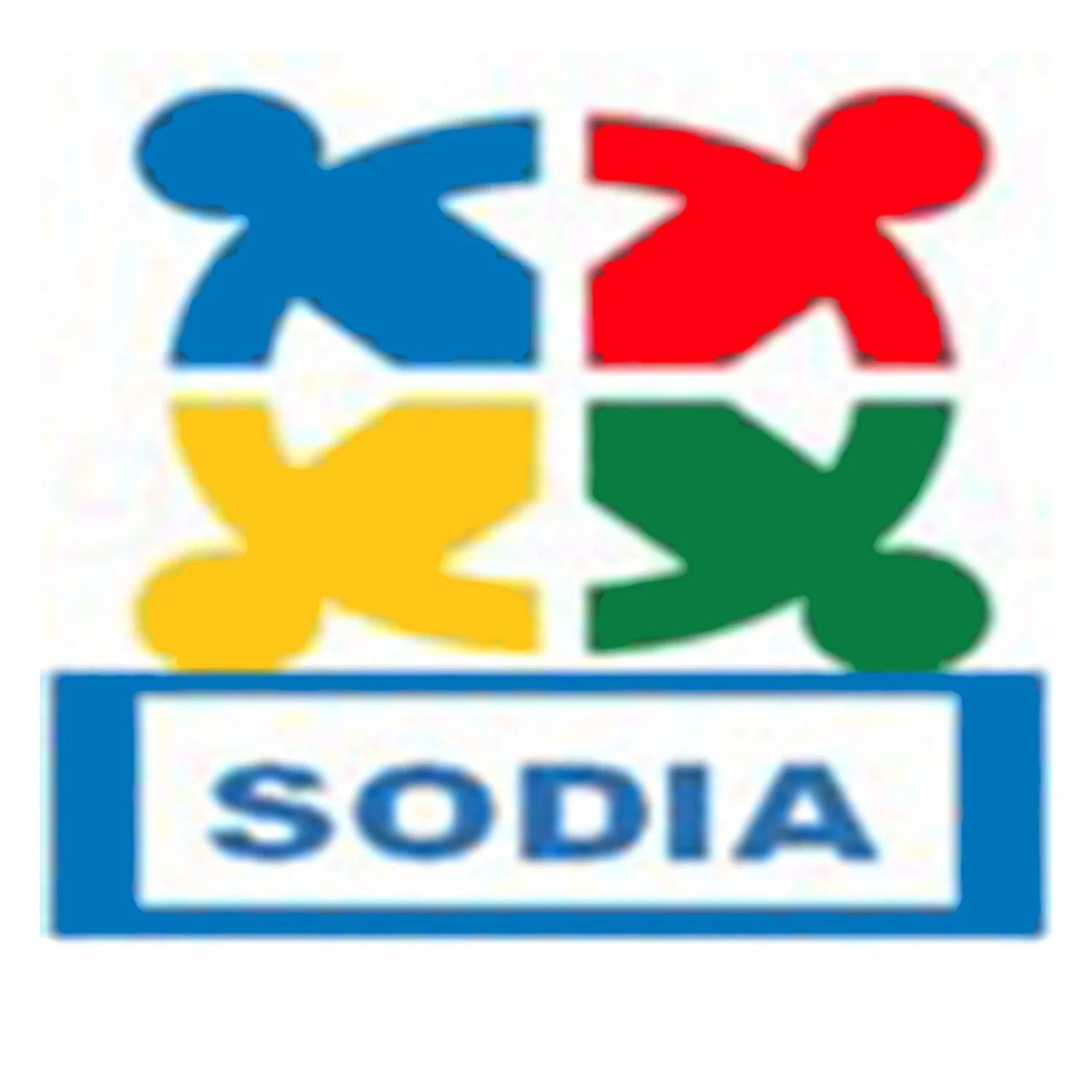 Social Development and Improvement Agency.jpg