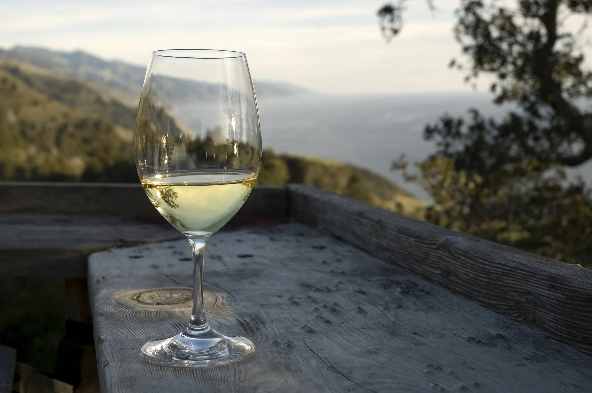 white-wine-3.jpg