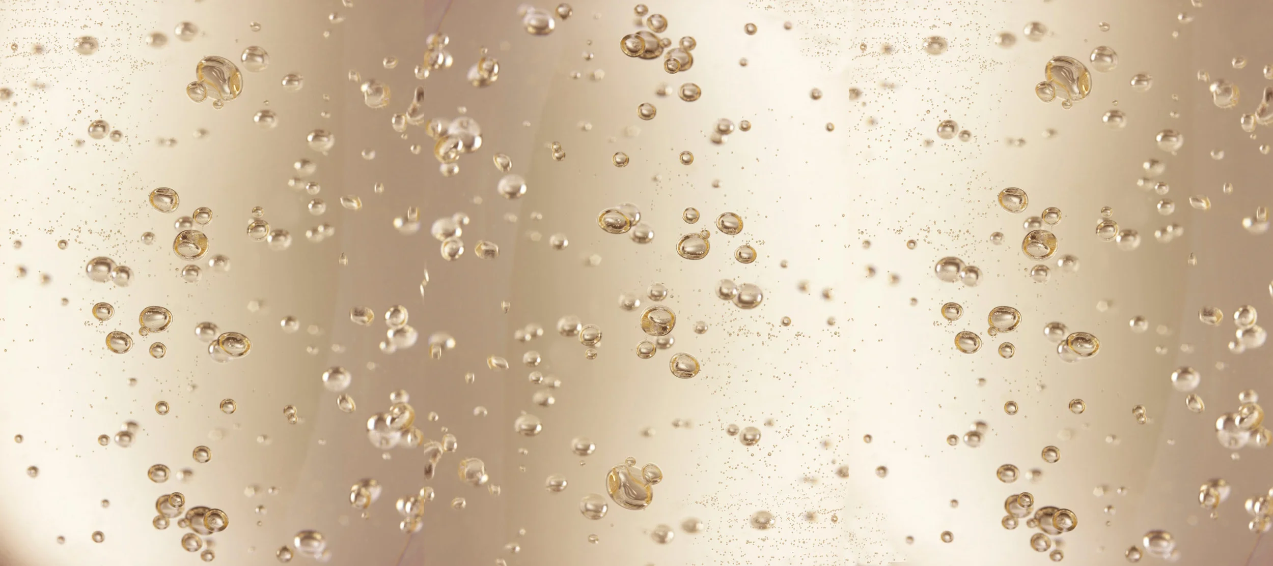 champagne-5.jpg