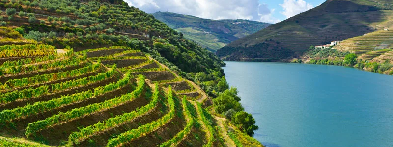 portugal-wine-header.jpg