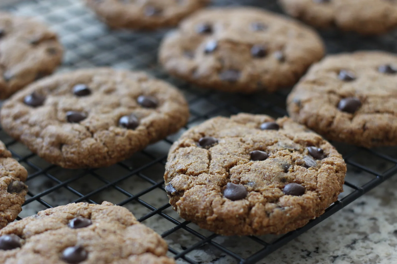 Paleo Chocolate Chip Cookies