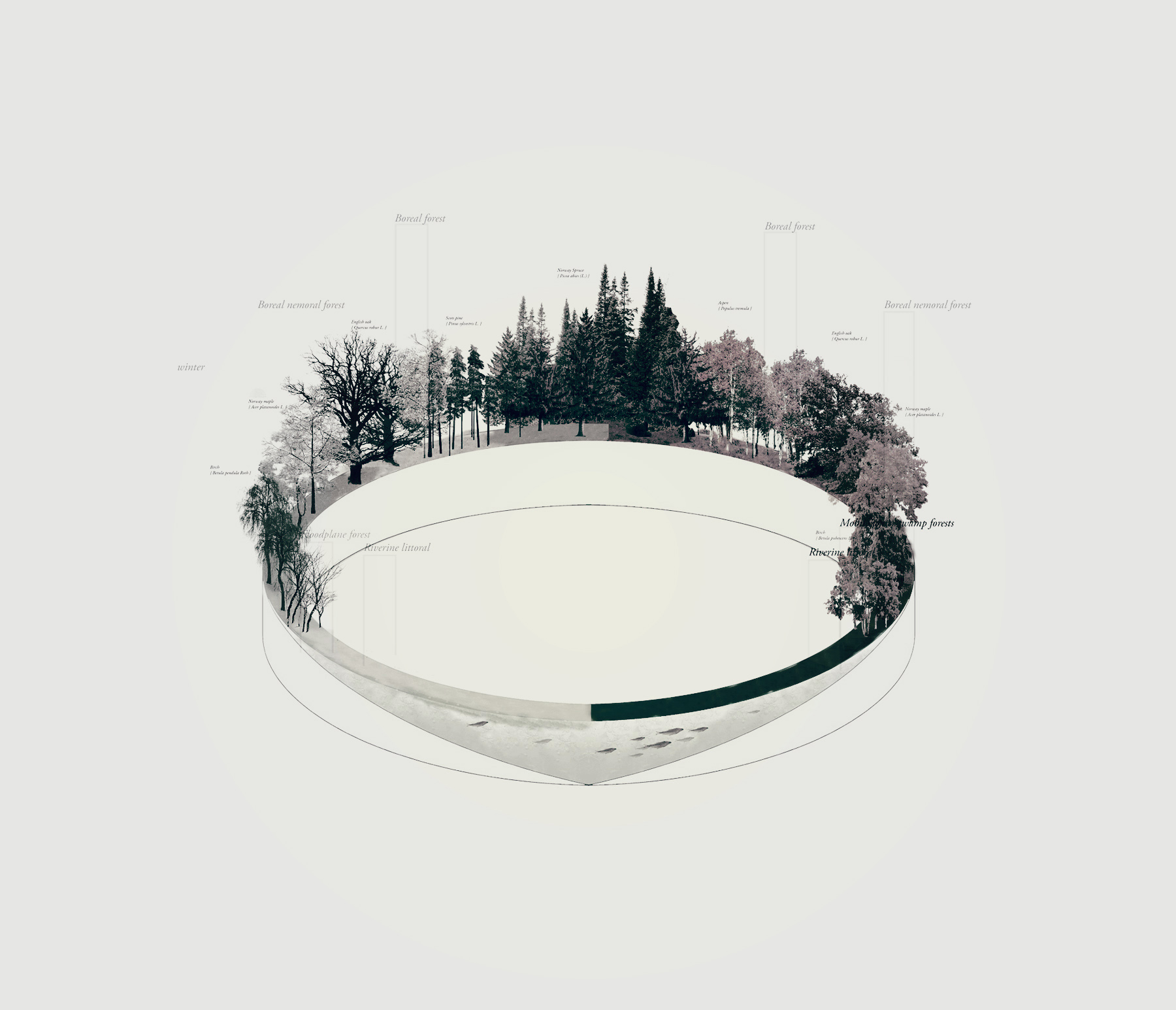 tree-graph b_21_o.jpg