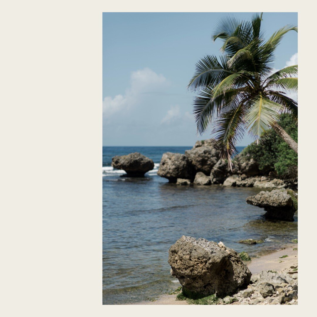 A calm corner on the East Coast

#photographer #barbados #islandinspired #photography #islandphotography #visitbarbados #prints #islandvibes #art