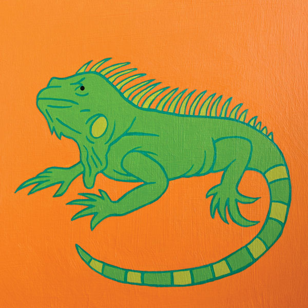 Iguana