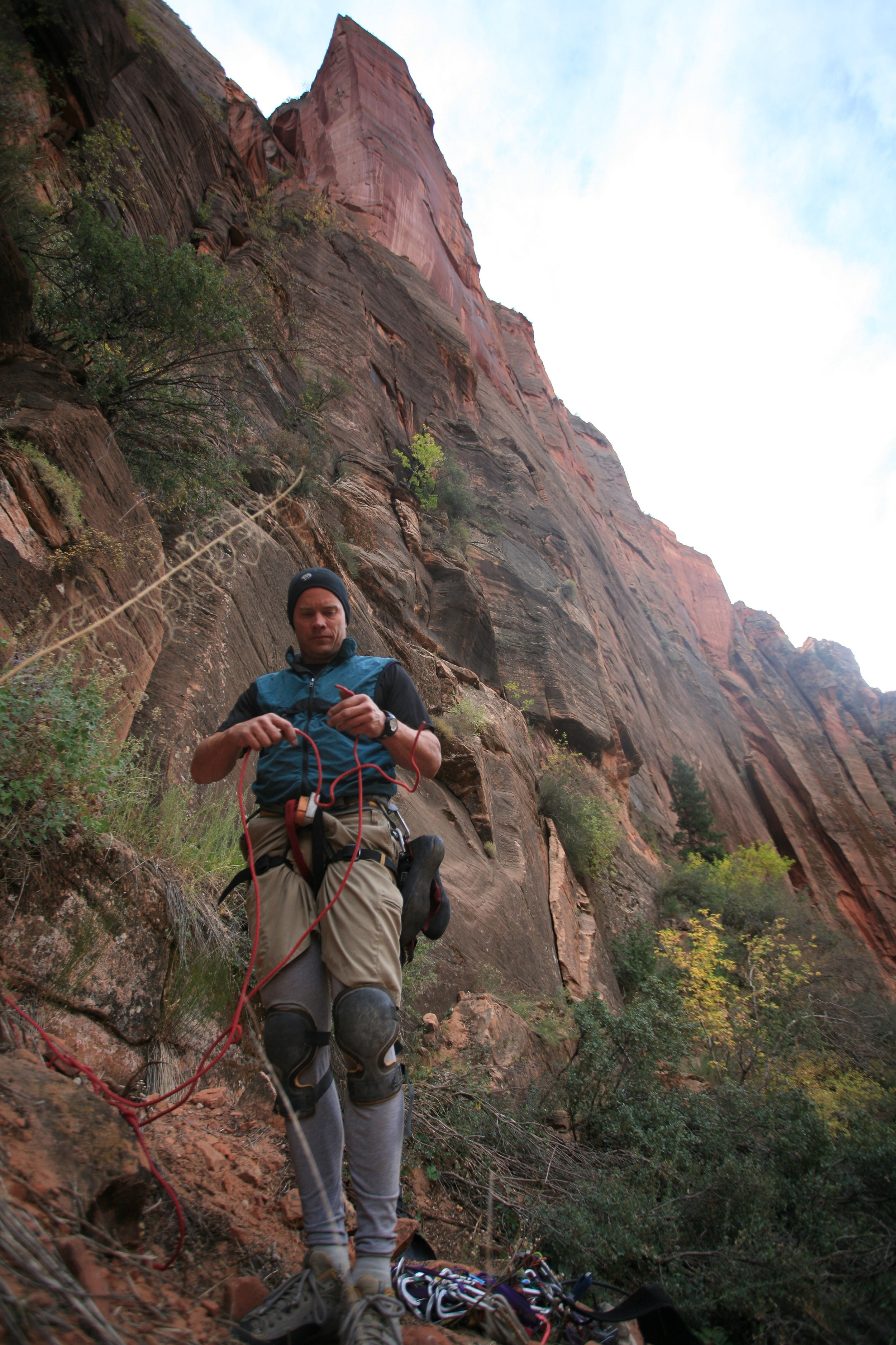 Desert Shield. Zion Canyon, Utah.