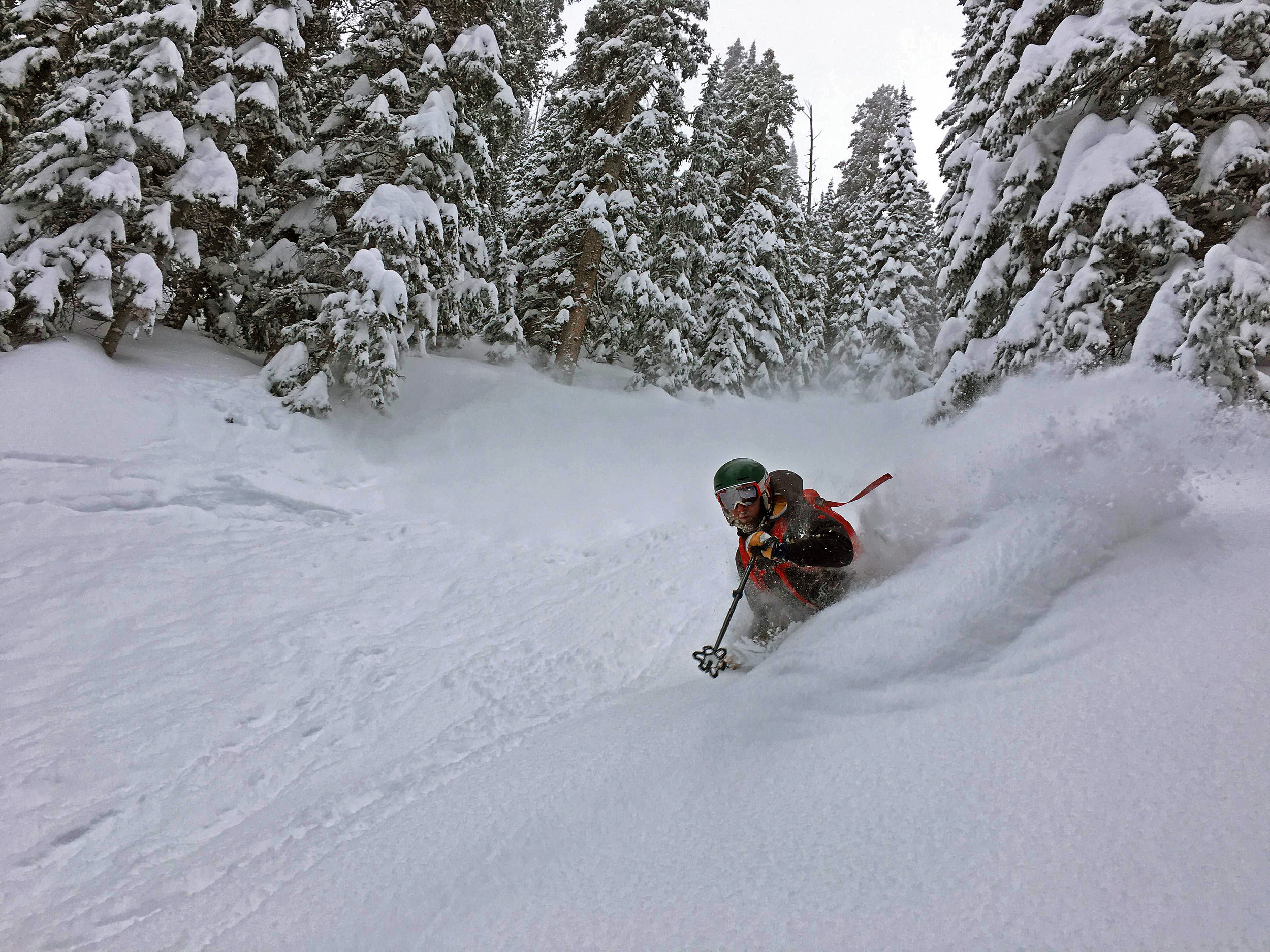 Deep powder on Parrot Peak.