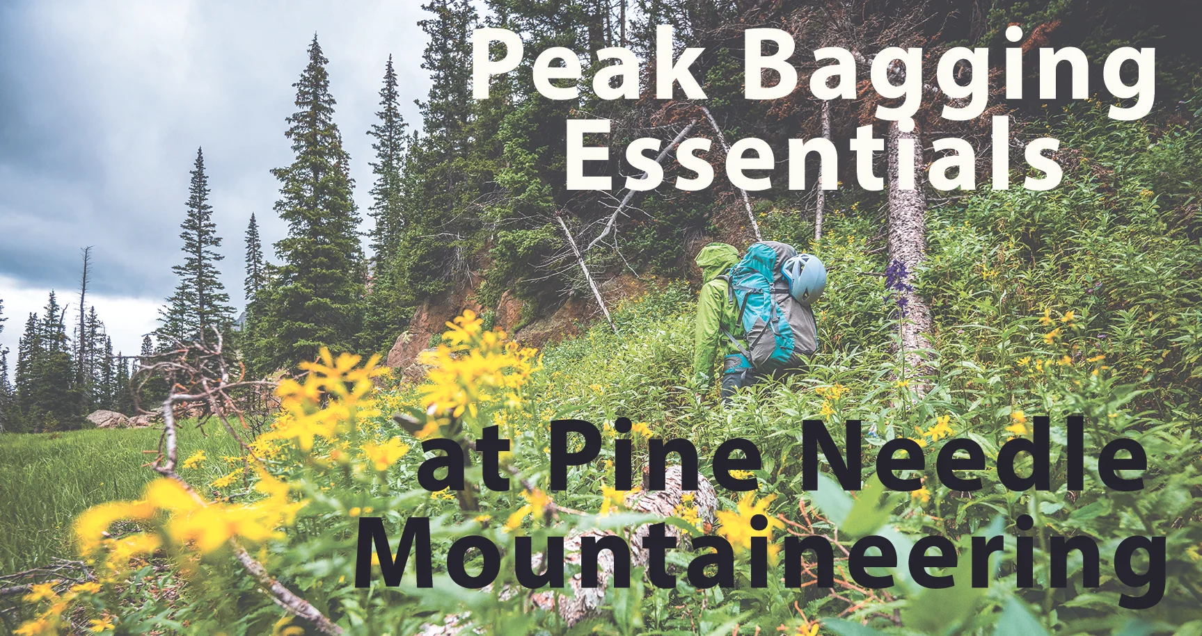 Peakbgging_etzel_k_0109_BP.jpg