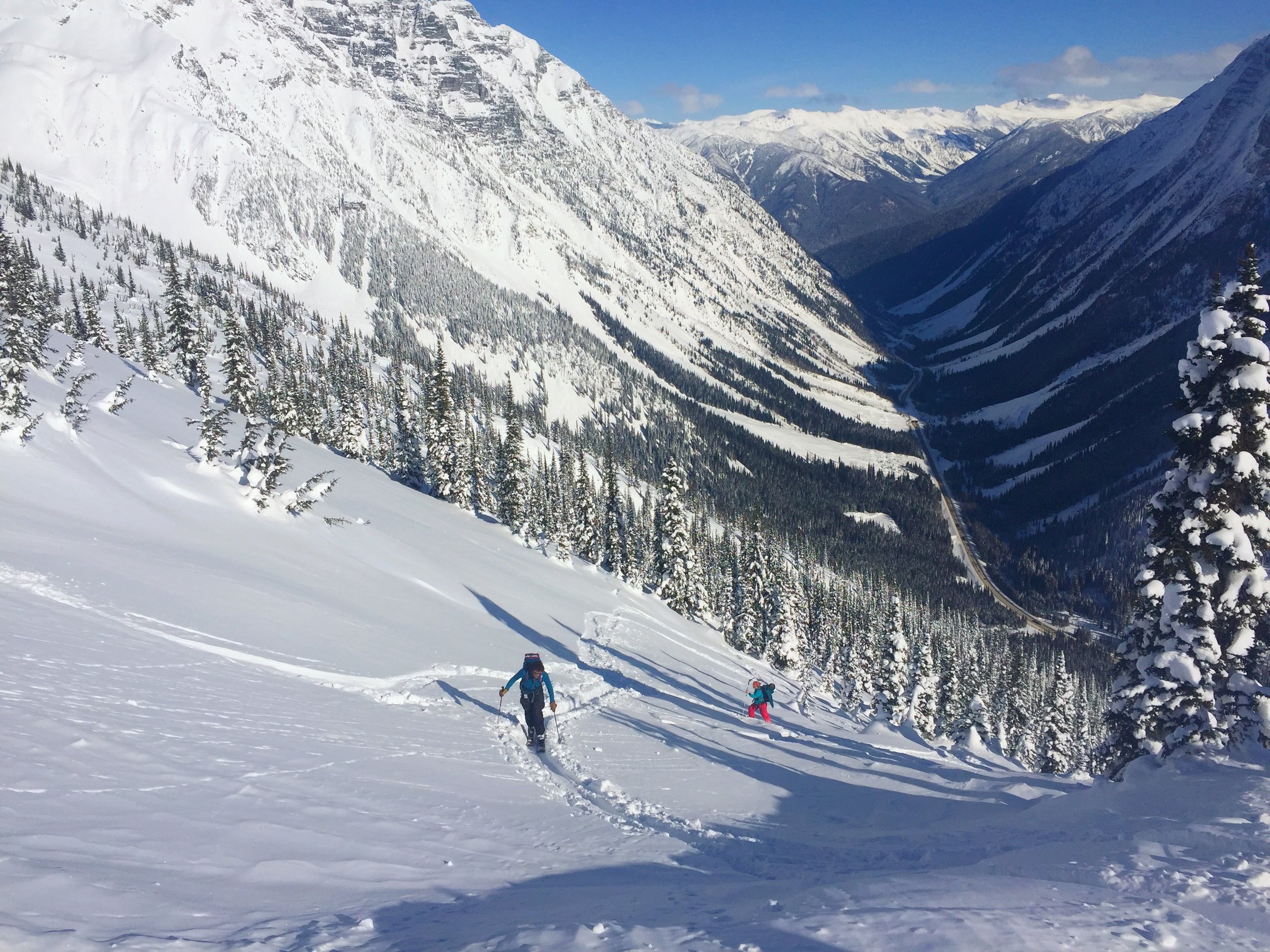 Backcountry, Cross-Country and Skate Skiing Essentials — Pine Needle Mountaineering