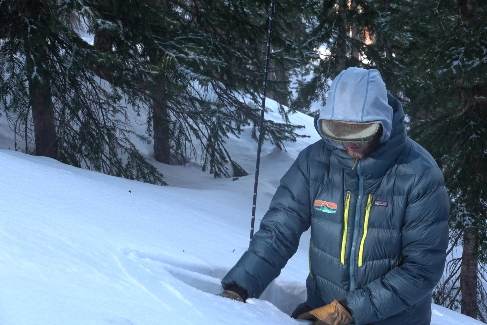 Insulation and Sustainability 