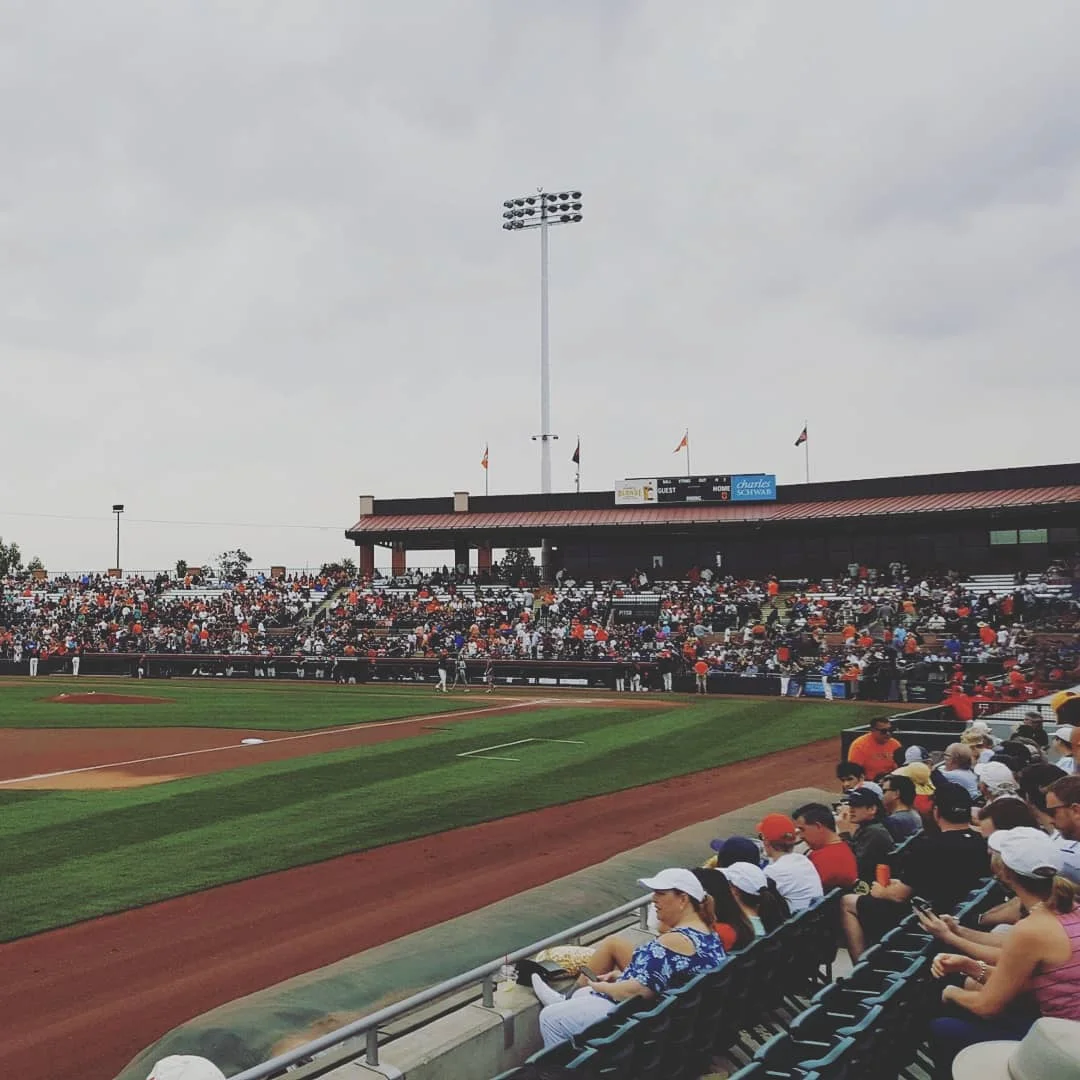 MLB Scottsdale.jpg