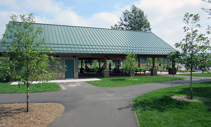 web shelter 4.jpg