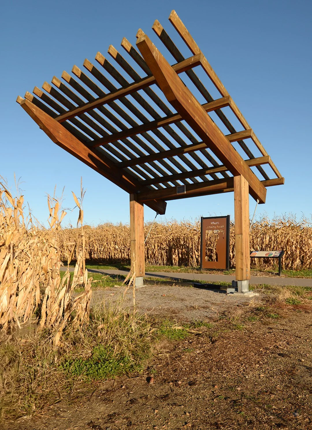 _U of M Arboretum 11.jpg