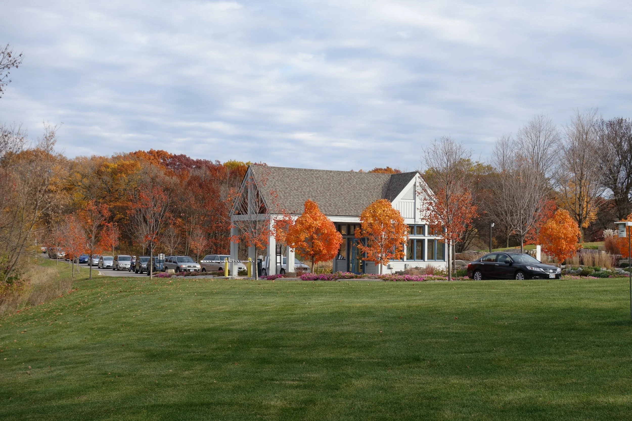 _U of M Arboretum 2.JPG