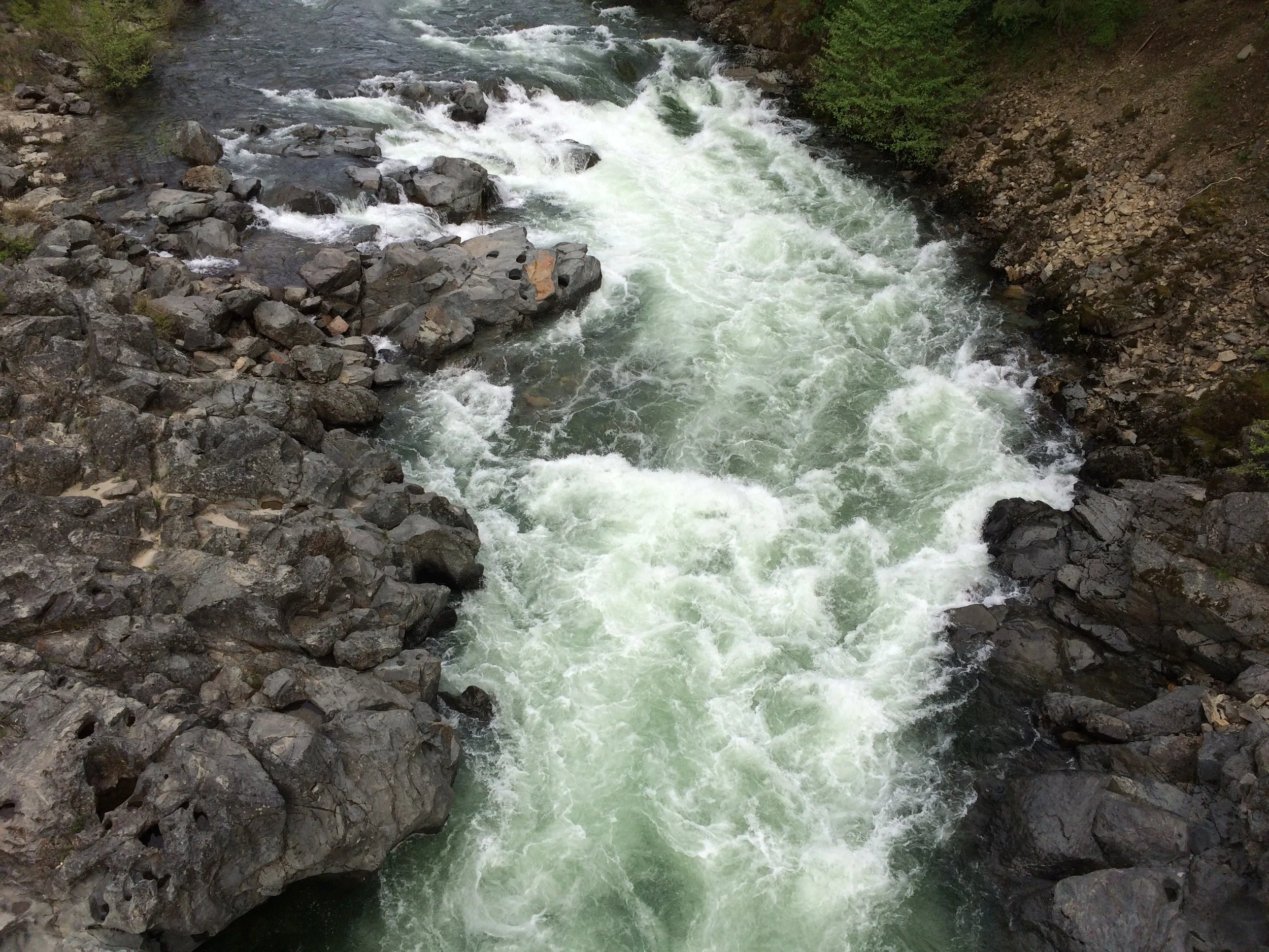 IMG_1083.JPG
