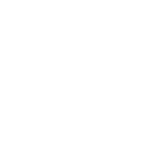 Deena Gothelf Wellness