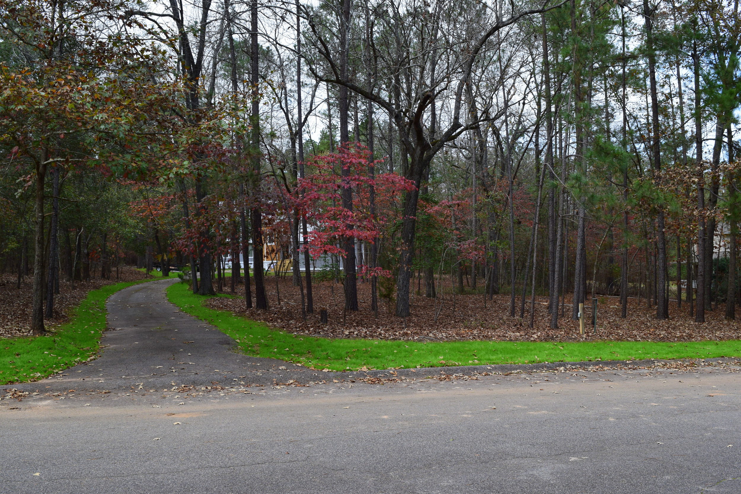 2.7 Acre Wooded Lot